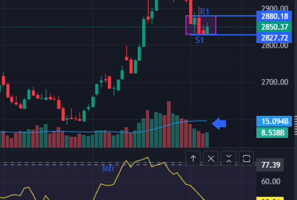 ४ कारोबारदेखि २८३२ को विन्दुमा सपोर्ट लिँदै सेयरबजार, अबको सम्भावना कस्तो ?