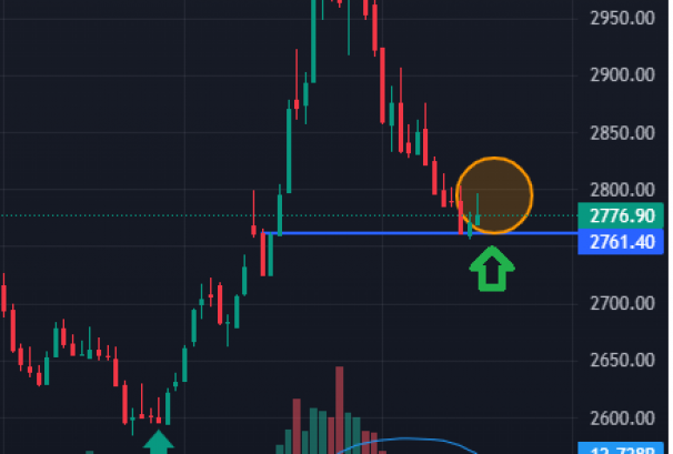नेप्सेको सपोर्ट जोनमा ‘इन्भर्टेड ह्याम्मर’, भोल्युम पनि ड्राई अप बन्दैँ