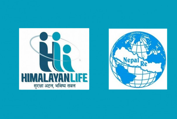हिमालयन लाइफको सेयरबजारमा मात्रै पौने ११ अर्ब लगानी, सर्वाधिक नेपाल रि इन्स्योरेन्समा