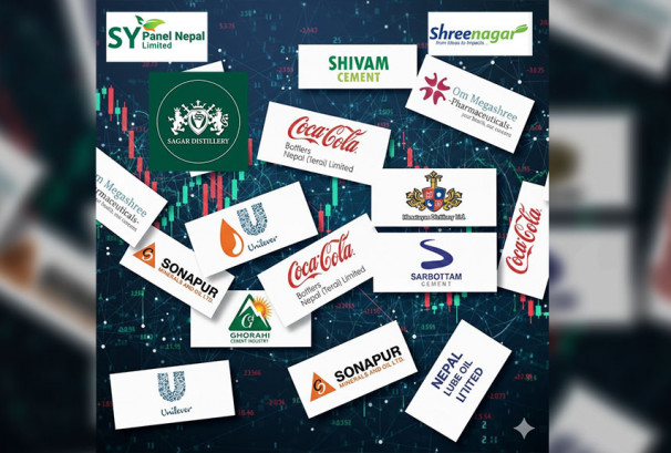 उत्पादनमूलक कम्पनीहरुको रिपोर्टः वित्तीय अवस्थामा जुन कमजोर उसकै सेयरभाउ उच्च, लो क्यापले उचालिँदै मूल्य