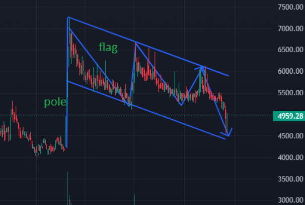विशाल बजार कम्पनीको सेयर मूल्यमा  ‘बुलिस फ्ल्याग प्याटर्न, ’ कस्तो रहला आगामी यात्रा ?