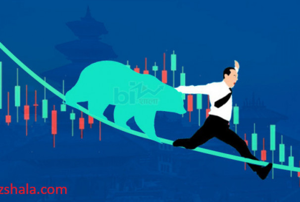 सामान्य अंकले घट्यो सेयरबजार, जानकार भन्छन्, ‘आईपीओले बजार बिगार्दै छ’