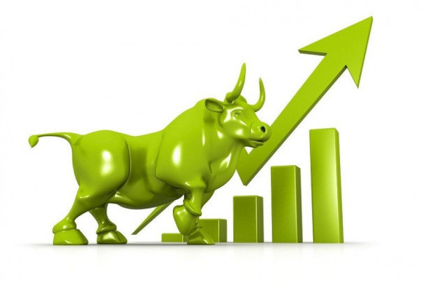 नेप्सेमा दोहोरो अंकको सुधार, कारोबार ५.१० अर्बमा सीमित