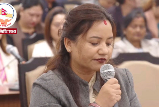 दैलेख पेट्रोलियम परियोजनाका लागि पूर्वाधार सुधार गर्न कांग्रेस प्रमुख सचेतक थापाको सरकारलाई ध्यानाकर्षण