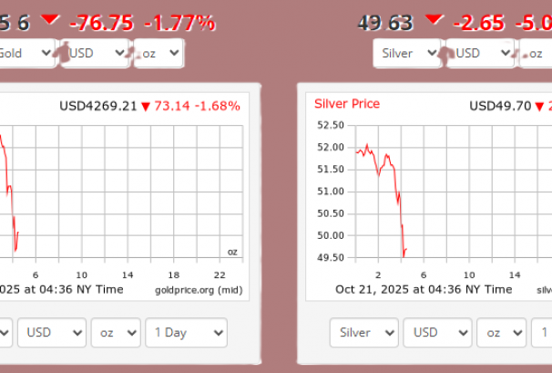 अन्तर्राष्ट्रिय बजारमा सुन र चाँदीको मूल्यमा भारी गिरावट, लगानीकर्ता चिन्तित