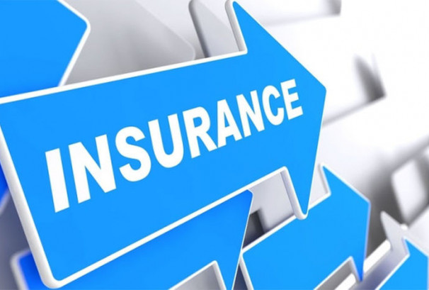 ६ बीमा कम्पनीको मात्रै सेयरभाउ बढ्यो, सर्वाधिक गुमाउनेमा क्रेष्ट माइक्रो लाइफ