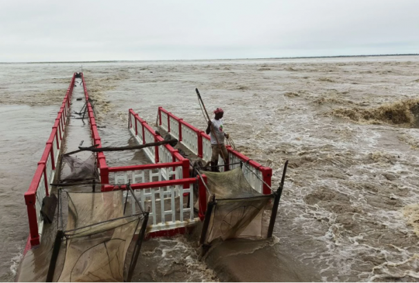 कोशीमा २०६५ सालको बाँध फुट्दाको भन्दा दोब्बर बढी पानी, सबै निकाय उच्च सतर्कतामा