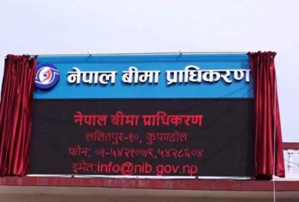 १० महिनामा पोलिसी सरेण्डरमार्फत बाहिरियो रु.११.६० अर्ब, नवीकरण नभएको बीमालेख १२ लाखमाथि