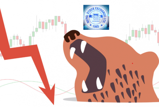 सबै प्यानिक बन्दा एउटा कम्पनीका लगानीकर्ता मालामाल !