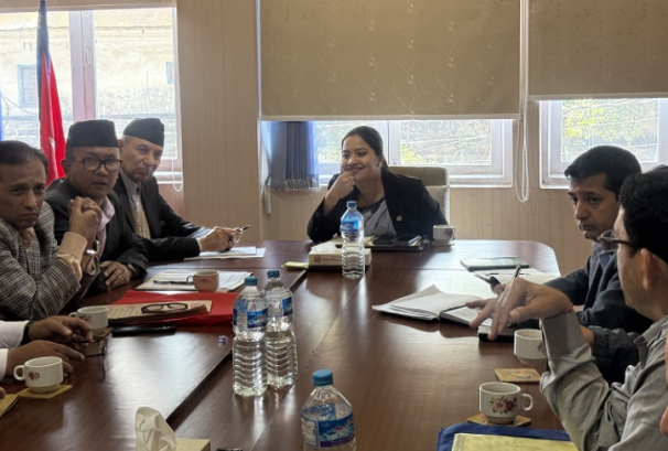 सरकारसँग सहकारी पीडितको छलफल, बचत फिर्ता गराइदिन आश्वासन