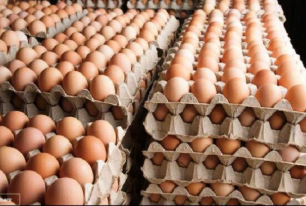 बढ्यो अण्डाको मूल्य