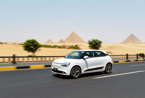 डोङफेङ मोटरद्वारा इजिप्टमा नौ वटा नयाँ मोडेल सार्वजनिक