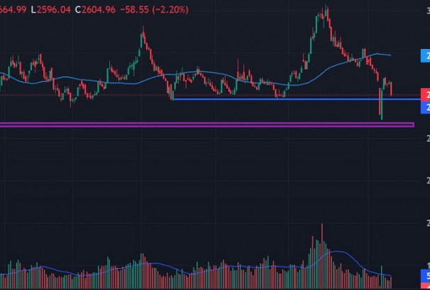 नेप्सेका चार्टमा वियरिस मारुबुजु क्याण्डल, कति–कतिमा छ बलियो सपोर्ट ?