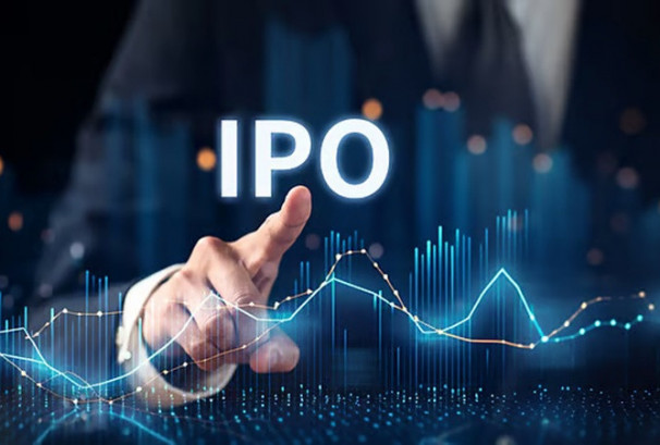 ह्वाइटगोल्ड मल्टी इनर्जीले आईपीओ निष्कासन गर्ने