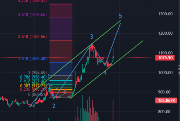 वार्षिक औषत ३५% लाभांश दिएको छिमेक लघुवित्तको सेयरभाउ बुलिस सेन्टिमेन्टमा, कस्तो रहला आगामी यात्रा ?