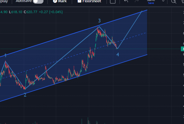 आधारभूत रुपमा मजबुत रहेको साहस उर्जाको आगामी यात्रा कस्तो ?