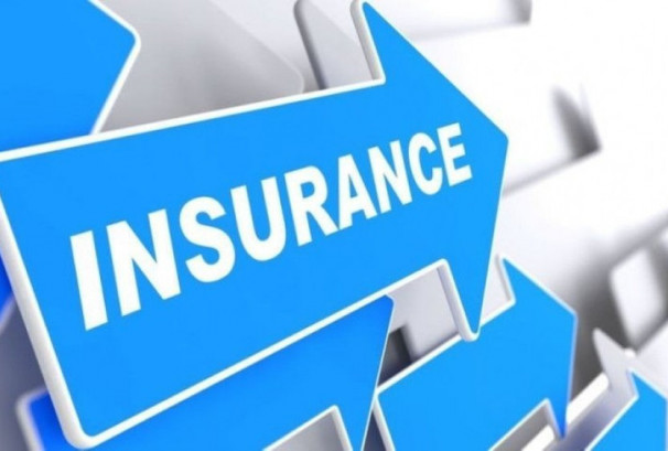 १४ बीमा कम्पनीको सेयरभाउ बढ्यो, सर्वाधिक गुमाउनेमा सिटिजन लाइफ इन्स्योरेन्स