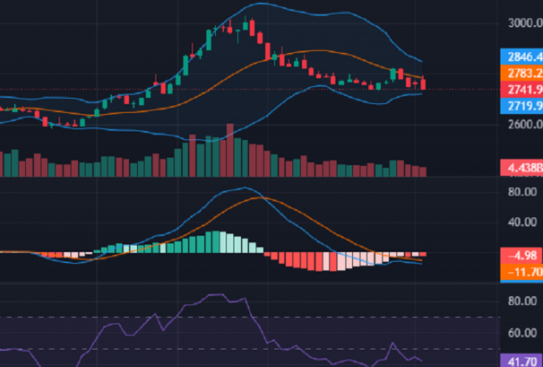 नेप्सेको चार्टमा वियरिस प्रकृतिको क्याण्डल, कति–कतिमा छ अबको सपोर्ट ?