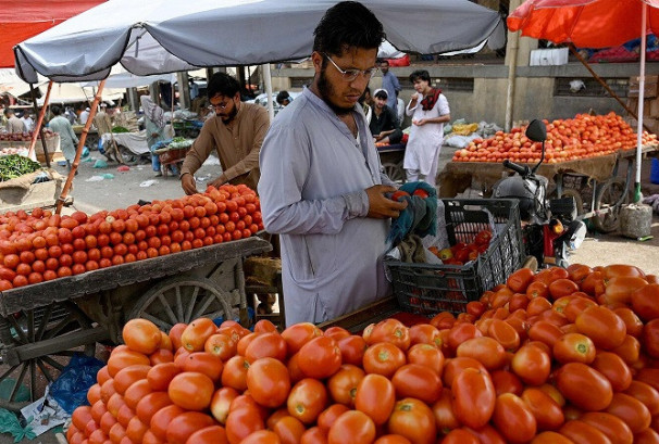 पाकिस्तानमा टमाटरको मूल्य प्रतिकिलो ६ सय रुपैयाँ पुग्यो, अफगानिस्तानबाट आपूर्ति ठप्प