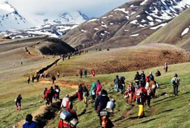 यार्सा टिप्न पाटन जाने विद्यार्थी: दुर्गममा पढाइ र आम्दानीबीचको द्वन्द्व