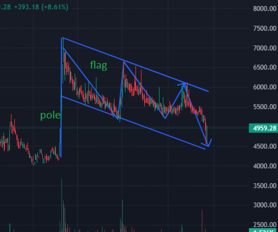 विशाल बजार कम्पनीको सेयर मूल्यमा  ‘बुलिस फ्ल्याग प्याटर्न, ’ कस्तो रहला आगामी यात्रा ?
