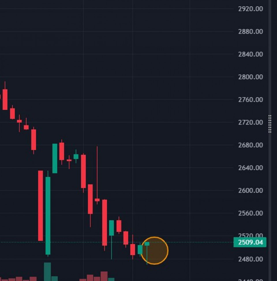 नेप्सेमा हरियो झिल्कोः बजारले दियो ‘रिभर्सल’ संकेत