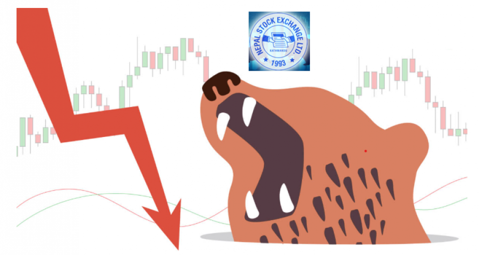 सबै प्यानिक बन्दा एउटा कम्पनीका लगानीकर्ता मालामाल !