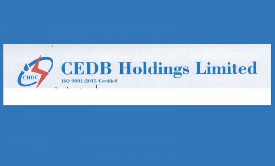 सिईडिबी होल्डिङ्सको अध्यक्षमा न्यौपाने नियुक्त