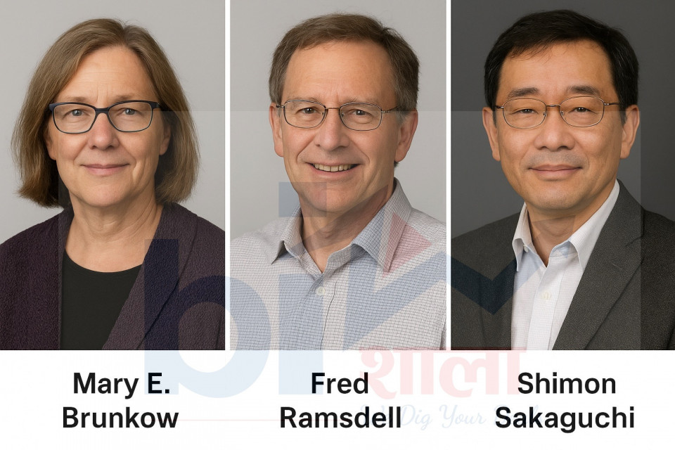 नोबेल पुरस्कार २०२५ः प्रतिरक्षा विज्ञानमा क्रान्तिकारी खोजका लागि तीन चिकित्सक सम्मानित, अर्थशास्त्रतर्फको घोषणा कहिले ?