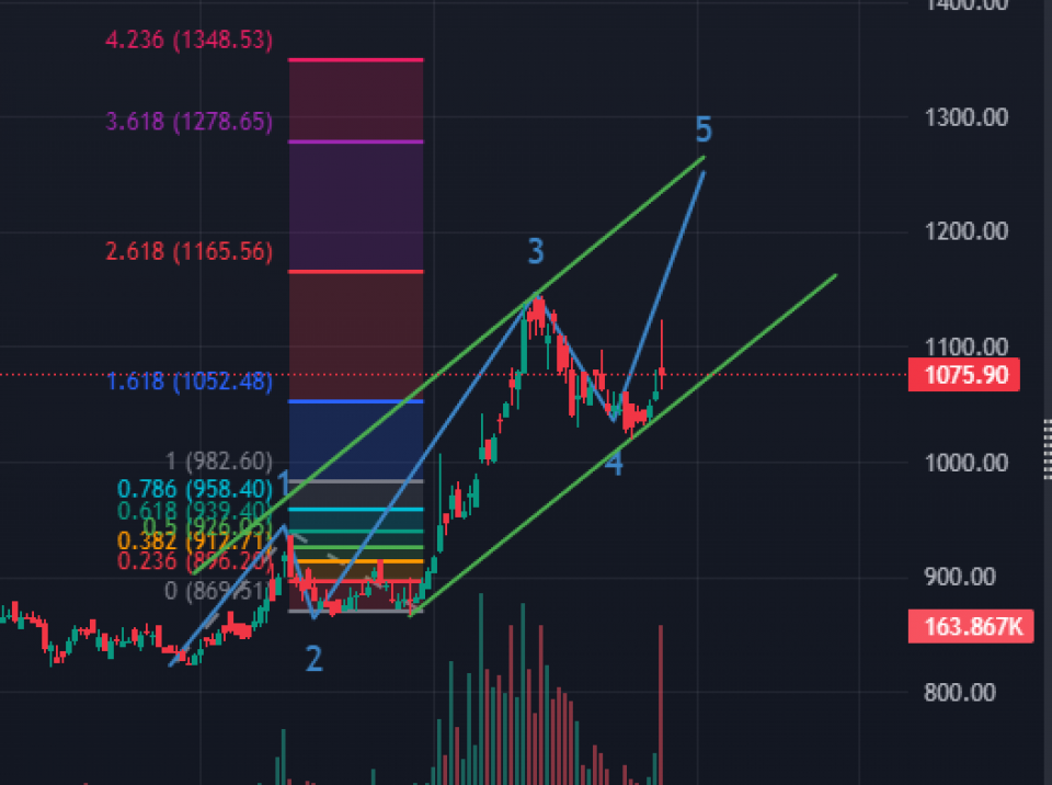 वार्षिक औषत ३५% लाभांश दिएको छिमेक लघुवित्तको सेयरभाउ बुलिस सेन्टिमेन्टमा, कस्तो रहला आगामी यात्रा ?