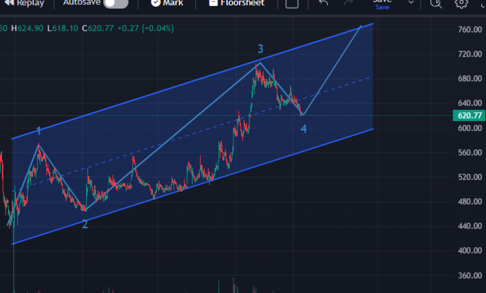आधारभूत रुपमा मजबुत रहेको साहस उर्जाको आगामी यात्रा कस्तो ?