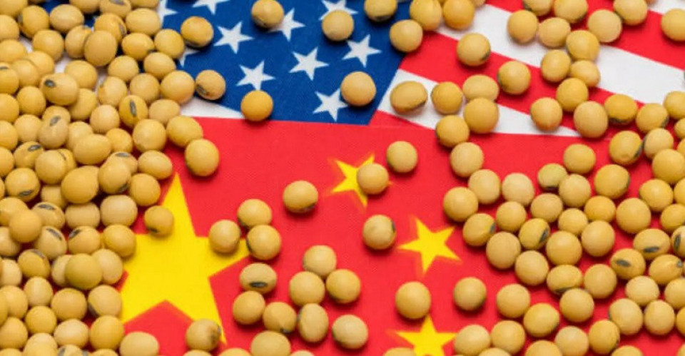 चीनले लगातार दुई महिना गरेन अमेरिकाबाट भटमास आयात, ब्राजिलबाट भने २९% ले बढ्यो