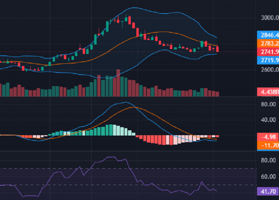 नेप्सेको चार्टमा वियरिस प्रकृतिको क्याण्डल, कति–कतिमा छ अबको सपोर्ट ?