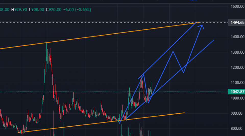 चन्द्रागिरी हिल्सको सेयर भाउ ‘बुलिस सेन्टिमेन्टमा’, कस्तो रहला आगामी यात्रा ?